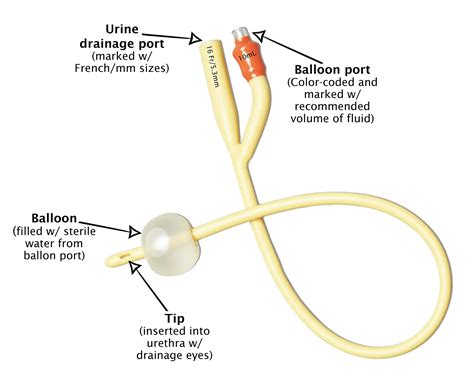 Living With A Foley Catheter Personally Delivered Blog