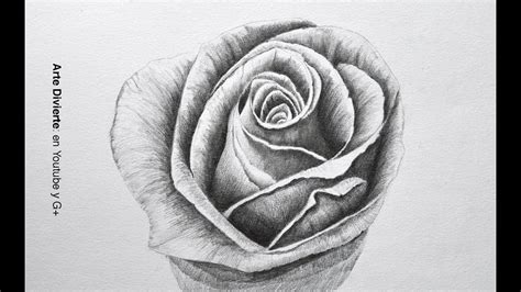 Dibujando Flores Cómo Dibujar Una Rosa A Lápiz Paso A Paso Arte