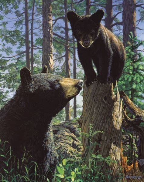 Bear Art Print Stump Jumper By Bruce Miller 20x16
