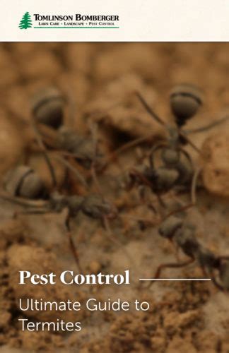 Pest Control Services In Lancaster And Harrisburg Pa Tomlinson Bomberger
