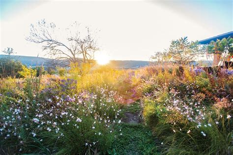 Wildflower Meadow Landscape Design Flower Magazine