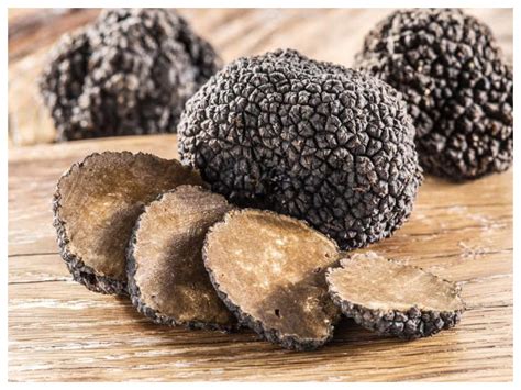 What Are Truffle Mushrooms And Everything You Should Know About Them