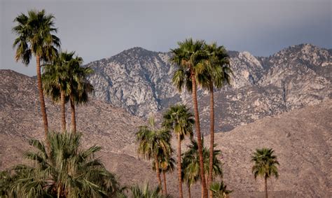 12 Unique Things To Do In Palm Springs California