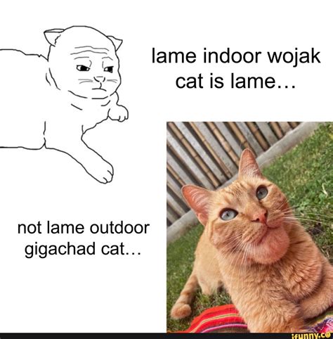 Lame Indoor Wojak Cat Is Lame Not Lame Outdoor Gigachad Cat Ifunny