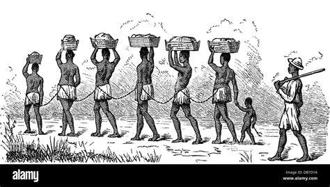 Slavery Labour African Slave Caravan Transports Loads Wood Engraving