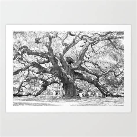 The Angel Oak Charleston South Carolina Art Print By Ashley Powell