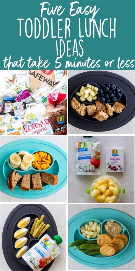 Five Easy Toddler Lunch Ideas in 2020 | Toddler lunches ...