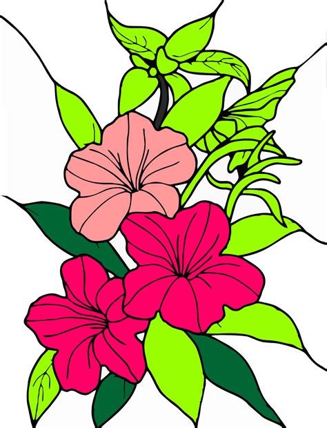 Contoh Gambar Bunga Kartun Gambar Sketsa Bunga Mawar Gratis Untuk
