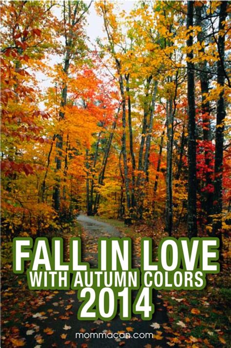 Fall In Love With Autumn Colors Mauve Tastic Momma Can