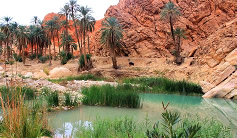 The Largest Oasis In The World Is In Morocco Seven Senses