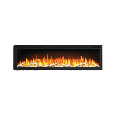 Napoleon Nefl60cfh Entice 60 Linear Fireplace Barbecues Galore