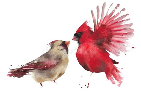 Bird Couple Northern Cardinal Male Female Watercolor Painting
