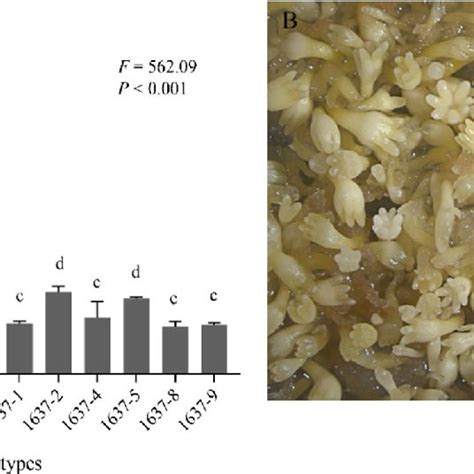 Somatic Embryo Production By Pinus Thunbergii A Mean Number ± Se Of Download Scientific