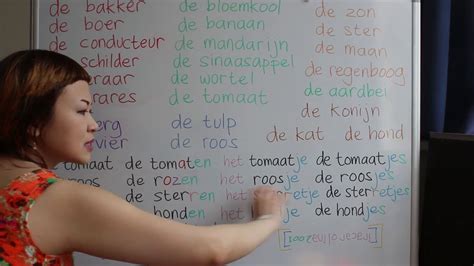 Belajar Bahasa Belanda 41 De Het 10 Youtube