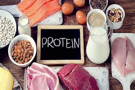 Menghitung Kebutuhan Protein Harian Yang Dibutuhkan Tubuh Okezone Health