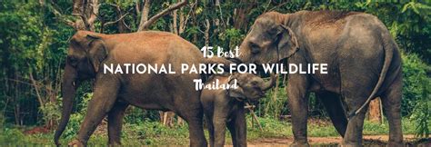 The 15 Best National Parks In Thailand For Wildlife Asocialnomad