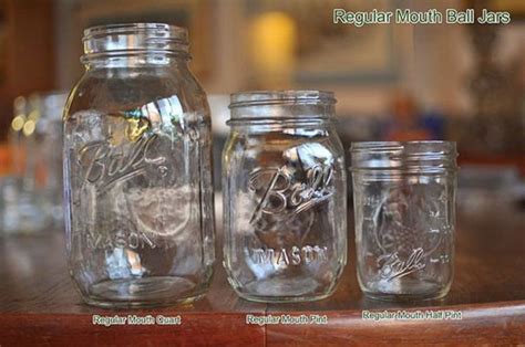 A Field Guide To Canning Jars Canning 101 Jar Canning Jars