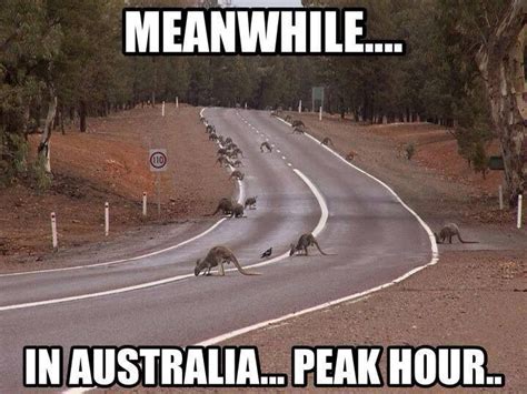 Photo Uploader For Pinterest Meanwhile In Australia Australia Funny