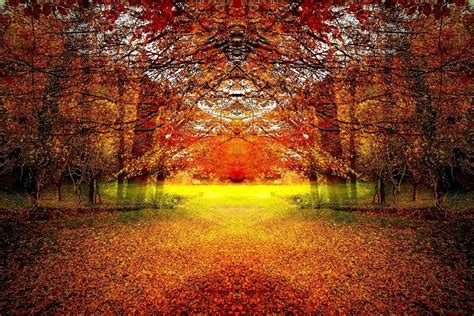 Autumn Landscape Wood Forest · Free Image On Pixabay