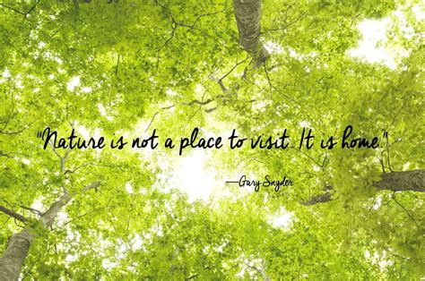 Top 71 Nature Quotes To Come Back To Life