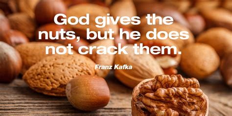 god gives the nuts but he does not crack them franz kafka attractive wisdom quote