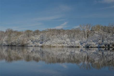 Lakeside Winter Reflections Stock Photo Image Of Pierce Illinois