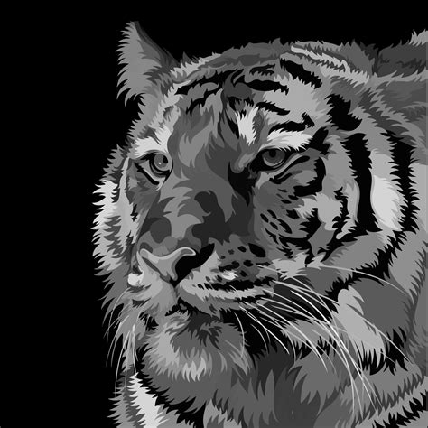 Vector Illustration Of A Grey Pop Art Tiger 8716122 Vector Art At Vecteezy