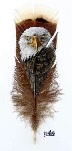 Pin By Carol Thayer On Native American Feather Art Eagle Painting
