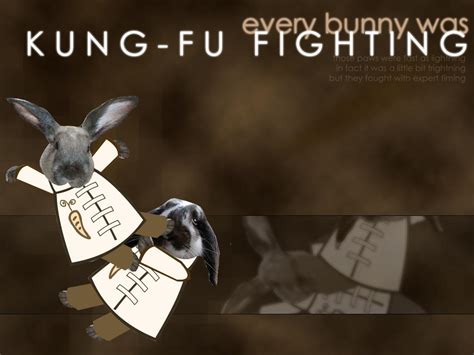 Kung Fu Bunnies Pwnage By Insanekirby On Deviantart
