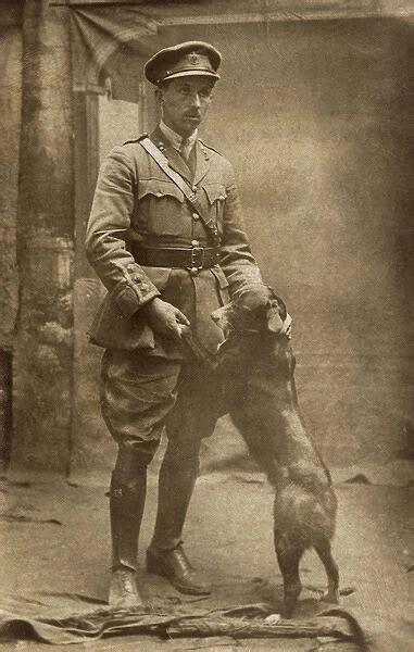 Royal Engineers Officer And Dog Wwi Available As Framed Prints Photos