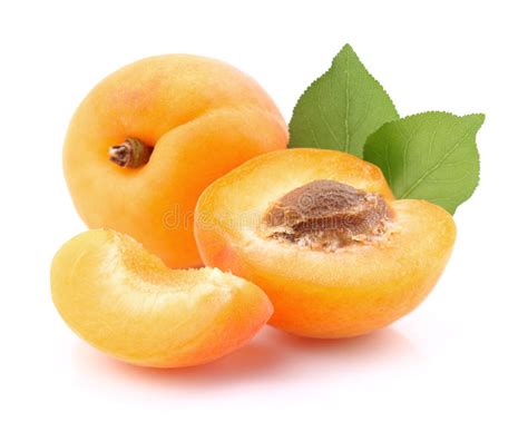 Ripe Apricot With Leaf Stock Photo Image Of Healthy 42857292