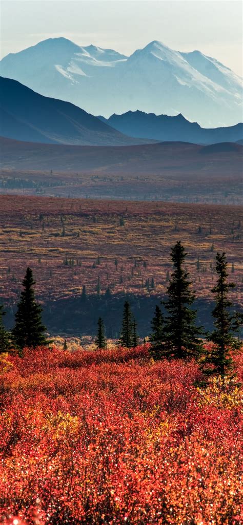 Denali National Park And Preserve Iphone Wallpapers Free Download