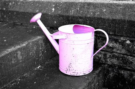 Watering Can Free Stock Photo Public Domain Pictures