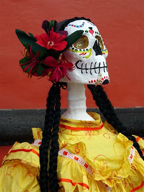 Each year americans in the united states celebrate the thanksgiving holiday on the fourth thursday of november. Free Images : flower, red, color, clothing, yellow, death ...