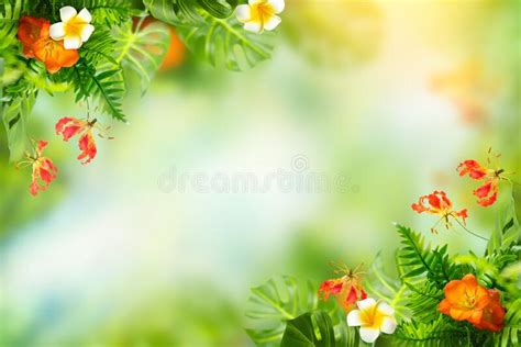 Abstract Summer Tropical Foliage And Flowers Background Green Exotic