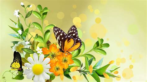Adoring Butterflies Hd Desktop Wallpaper Widescreen High Definition