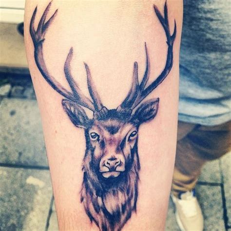 Stags Head Forearm Tattoo Animal Tattoos