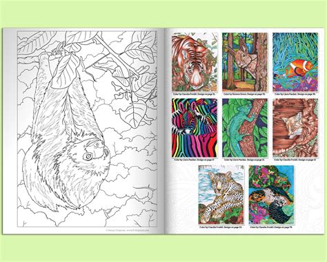 Coloring Book Hidden Animals Coloring Book Seek And Find Etsy