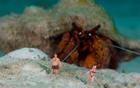 Toy Figures In Underwater Scenes 20 Pics