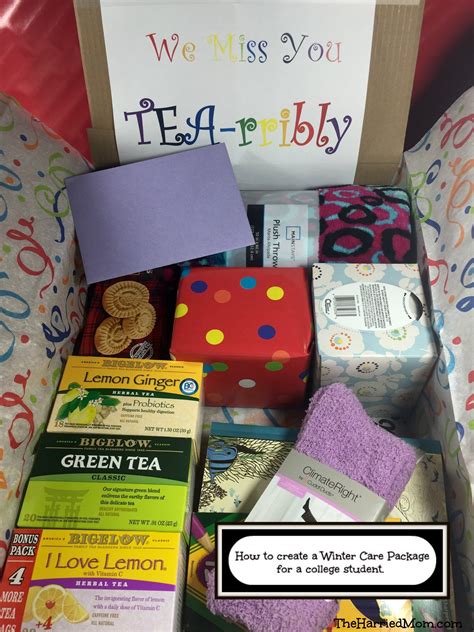 10 Ideal College Student Care Package Ideas 2020