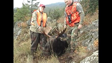 Bull Moose Hunt Youtube