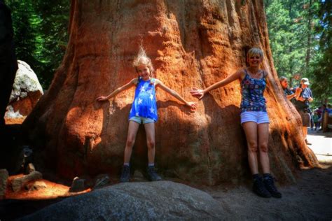 De diameter van de stam is 42 meter! Sequoia National Park - Rondreis West Amerika