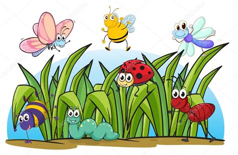Various Insects And Grass Stock Vector Image By ©interactimages 17673775