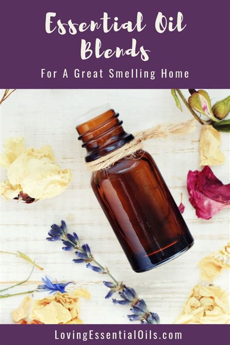 10 Essential Oil Blends For A Great Smelling Home Loving Essential Oils