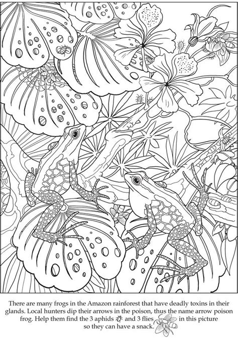 Hidden Animal Camouflage Coloring Pages Printable Feel Free To Print