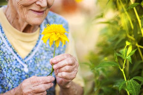 What Are The Benefits Of Gardening For Seniors The Falls Home