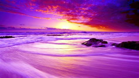 Purple Beach Sunset 4k Hd Nature 4k Wallpapers Images