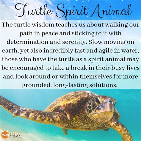 Turtle Totem Turtle Spirit Animal Turtle Turtle Quotes