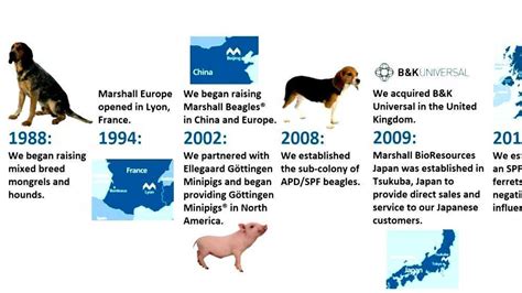Timeline Of Animal Welfare And Rights