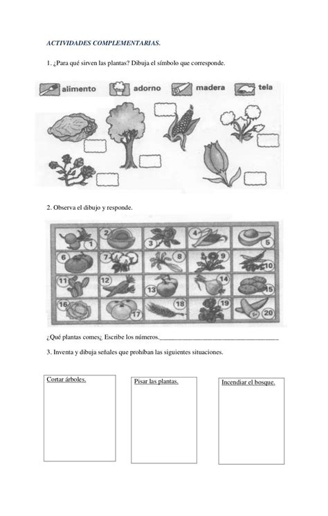 Guias De Ciencias Naturales Grado Primero